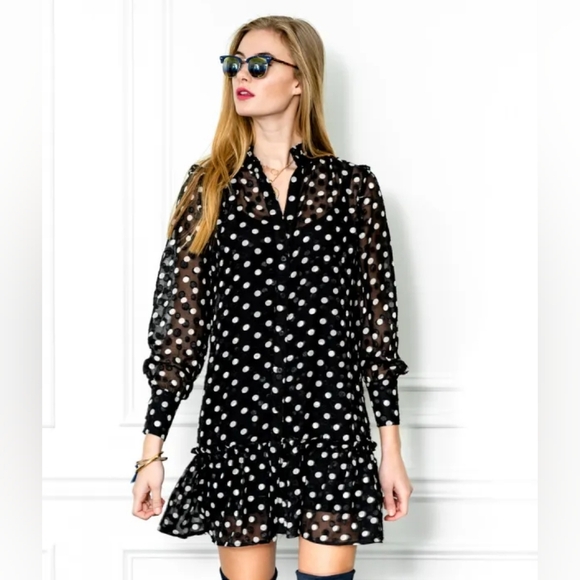 THE SHIRT By Rochelle Behrens Long Sleeve Polkadot Chiffon Mini Shirt Dress Sz S - Picture 1 of 14